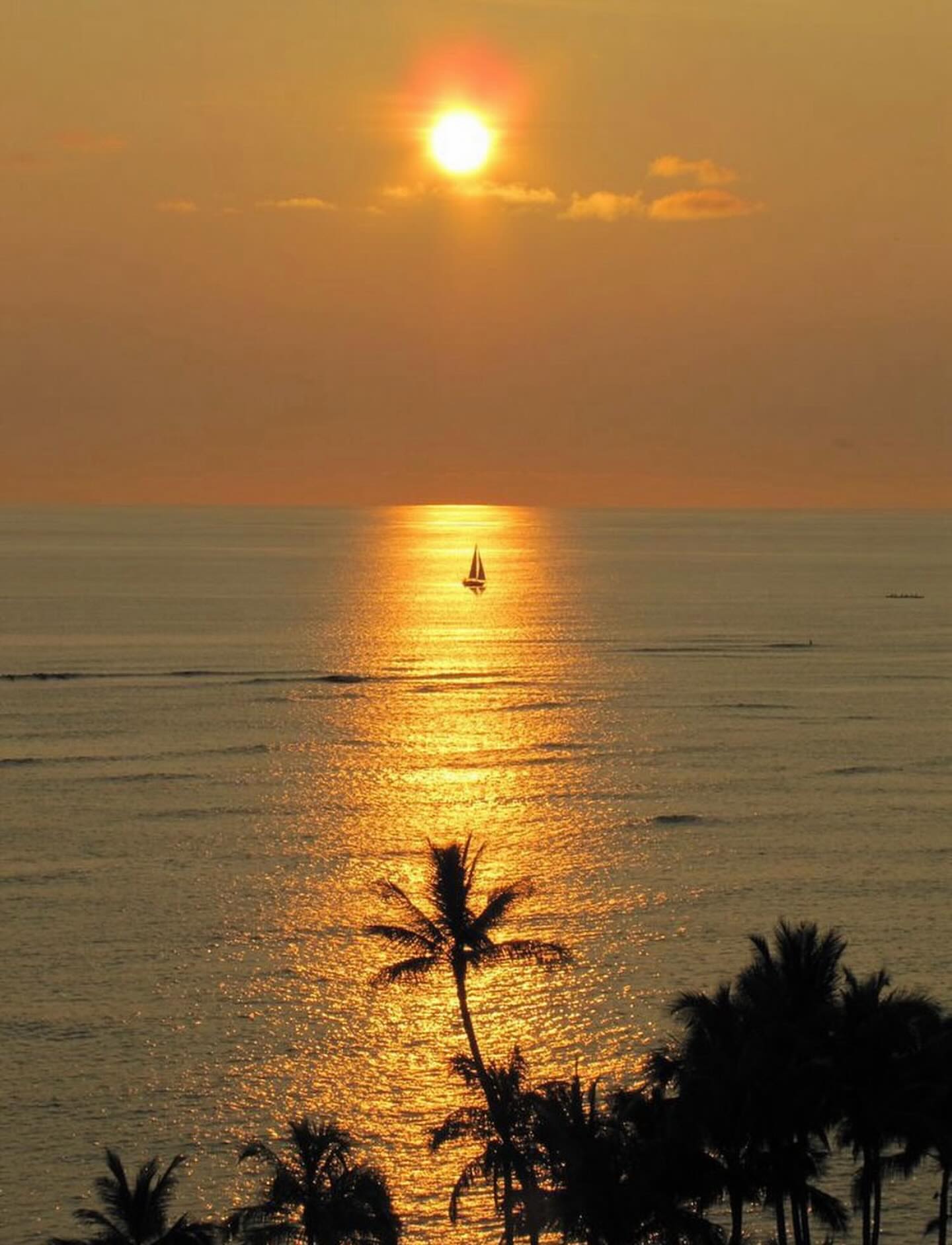 Golden sunset over the ocean with palms and a sailboat